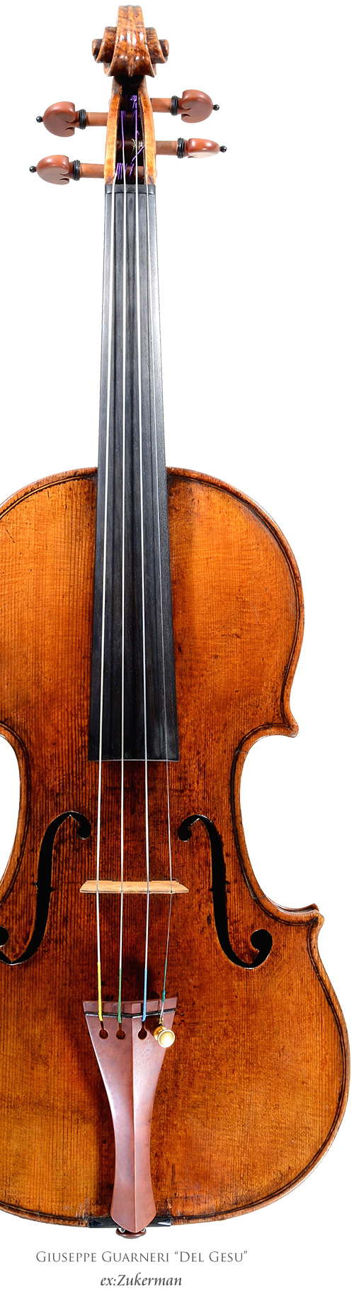 弦楽器専門店 ラルジュ ー販売 鑑定 修理 調整 買取ー バイオリン ビオラ チェロ 弓